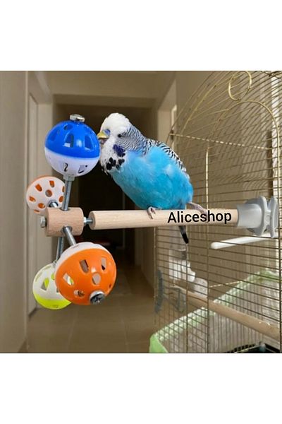 aliceshop Stress Toy with 4 Balls Is Suitable for Birds in Paradise and Dimensions of Sultan Sevda