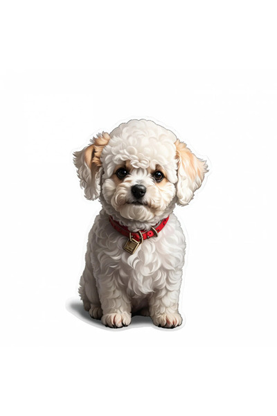 INOVATIX Set de 8 piese, autocolant Bichon cu zgardă, INOVATIX®. 6 cm