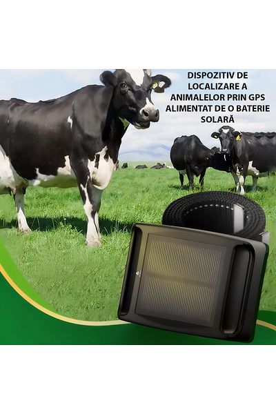 Spionescu Solar GPS Tracker with collar, Q19, GSM, GPS, GPRS, LBS, AGPS, BEIDOU, location and monitoring