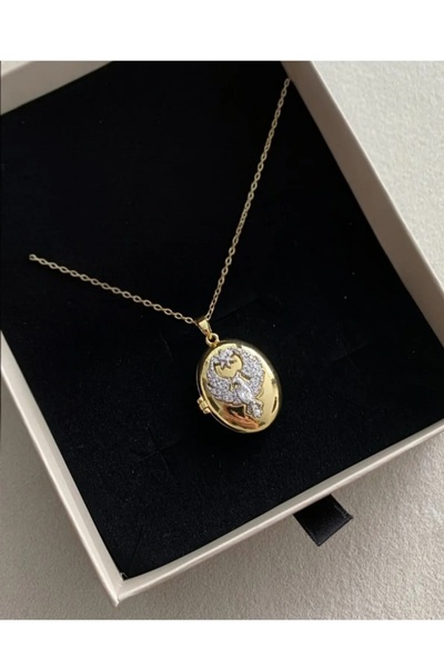 Kudi anka kuşu açılıp kapanan Gold kolye