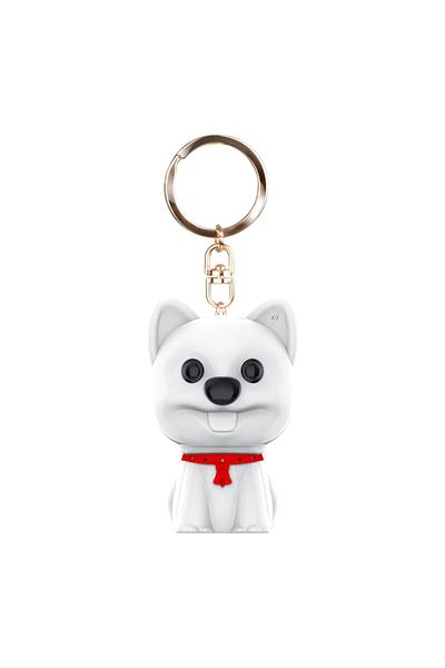 Spionescu Hidden Voice Recorder In Keychain, Voice Activated, Mp3, Gl-16 - 8 Gb