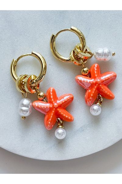 CHARMLUCKY Steel Charm Ceramic Star Earrings