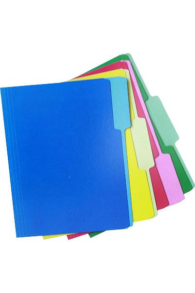 Roco Manila File Folder A4 Size - Assorted Colors