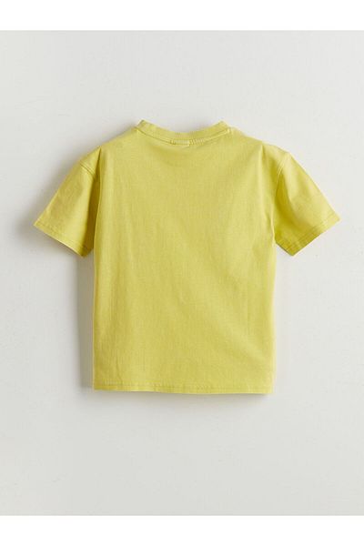 LC Waikiki Crew Neck Printed Boy's T-Shirt