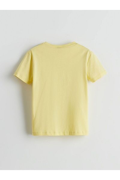 LC Waikiki Crew Neck Nostalgic Monkey Printed Boys T-Shirt