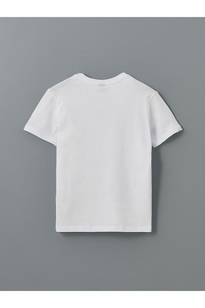 LC Waikiki Crew Neck Boy's T-Shirt