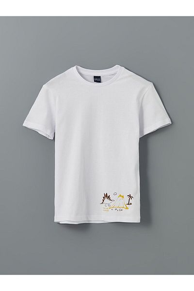 LC Waikiki Crew Neck Boy's T-Shirt
