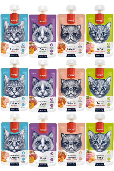 Wanpy Tasty Meat Paste Taze Sıvı Kedi Ödül Maması Karışık 90gr - 12 Adet