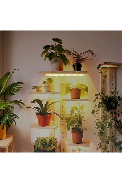 Generic مجموعة إضاءة LED للزراعة المتنامية مكونة من أربعة قطع مقاس 60 × 8