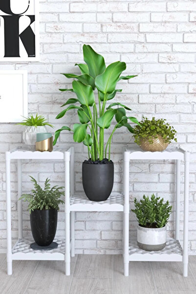 Mgr Office Mimoza Çok Amaçlı Moblen Saksılık Çiçeklik Rafı Saksı Çiçek Standı...