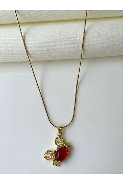 Nilsu Jewellery Accessory Steel Zircon Stone Crab Detailed Women's Necklace