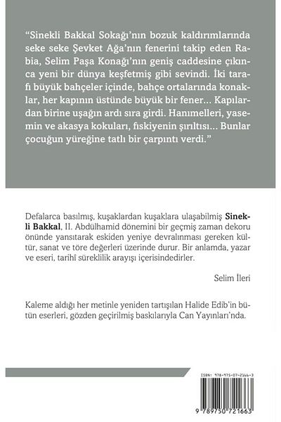 Bloomsbury Fly Grocery: with the Final Word of Selim İleri - Halide Edib Adıvar