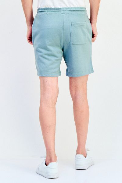 GAP Men Solid Basic Shorts, Sage Green