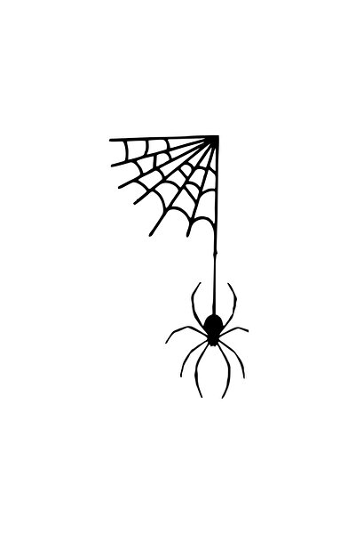 Reysa Tasarım ملصق سيارة عنكبوت متدلي من الشبكة مقاس 17 × 17 سم باللون الأسود