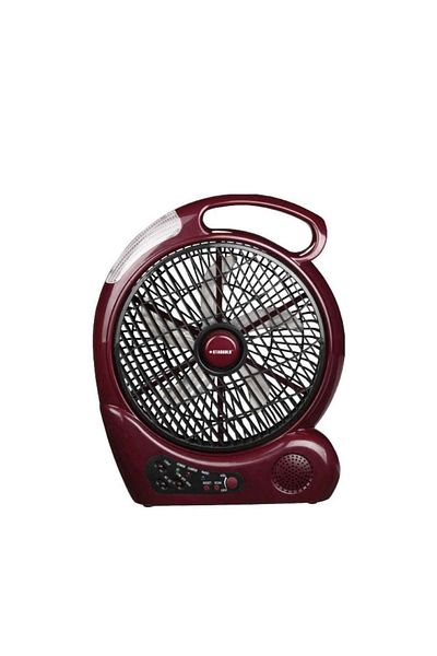 Generic STARGOLD 10-Inch Portable Rechargeable Fan with Built-in Radio, 2-Speed, 10-Hour Battery Life