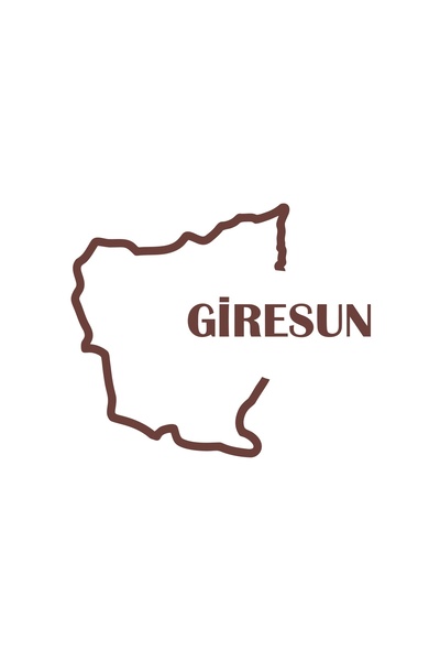 Reysa Tasarım ملصق سيارة خريطة جيريسون مقاس 17 × 17 سم بني