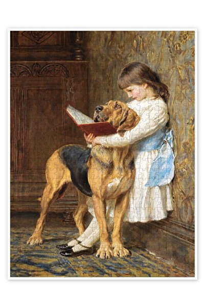 Jeronkarji Zorunlu eğitim 500 Parça Puzzle Yapboz Kedi Köpek Temalı Doğa ve O...