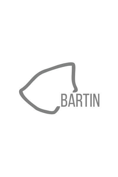 Reysa Tasarım ملصق سيارة بارتين هارايت مقاس 17x17 سم باللون الرمادي