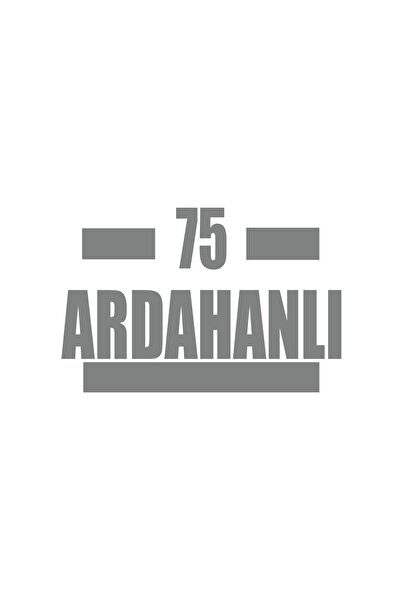 Reysa Tasarım 75 ملصق سيارة أردانلي 17x17 سم رمادي