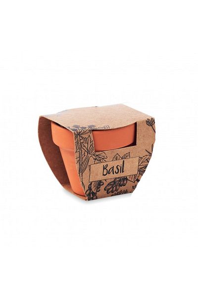 dalimag Kit Gradinarit, Ghiveci de Teracota cu Seminte de Busuioc, 5x6x5.5 cm