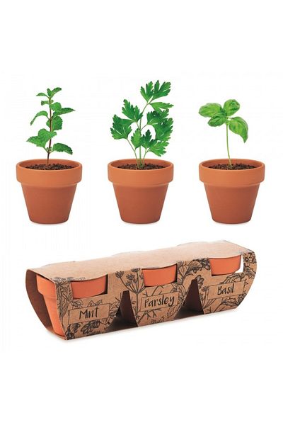 dalimag Kit Gradinarit, 3 Ghivece de Teracota cu Seminte de Menta, Patrunjel, Busuioc, 6x19x5 cm