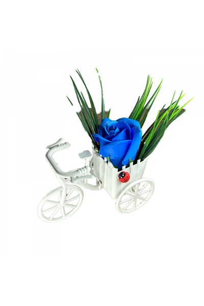 dalimag Aranjament Floral, Bicicleta, Trandafir Albastru, Parfumat, Buburuza