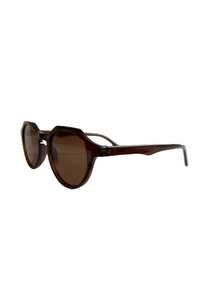 Aqua Di Polo 1987 Unisex Brown Sunglasses Apsn013502