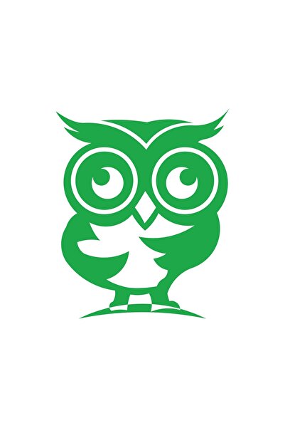 Reysa Tasarım ملصق بومة لطيف مقاس 17 × 17 سم باللون الأخضر