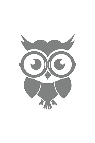 Reysa Tasarım ملصق بومة لطيف مقاس 17 × 17 سم باللون الرمادي