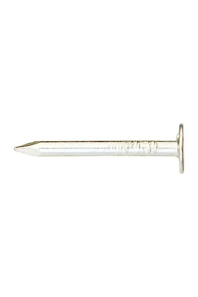 ACE Electro-Galvanized Smooth Shank Roofing Nails Silver 1inch