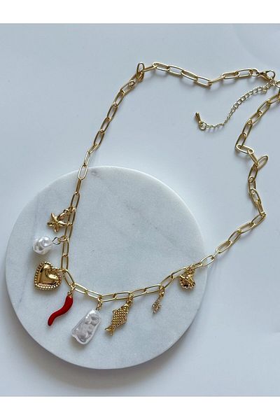 CHARMLUCKY Charm Charm Necklace