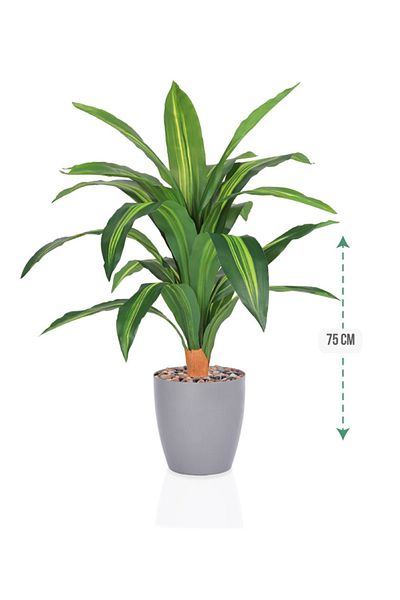 DRAMA HOME Artificial tree, simulating a soft corn tree with a natural texture, 75 cm high