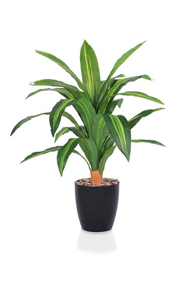 DRAMA HOME Artificial tree, simulating a soft corn tree with a natural texture, 75 cm high