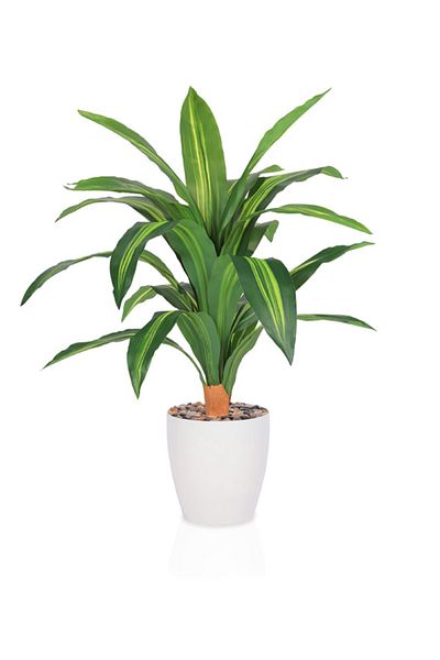 DRAMA HOME Artificial tree, simulating a soft corn tree with a natural texture, 75 cm high