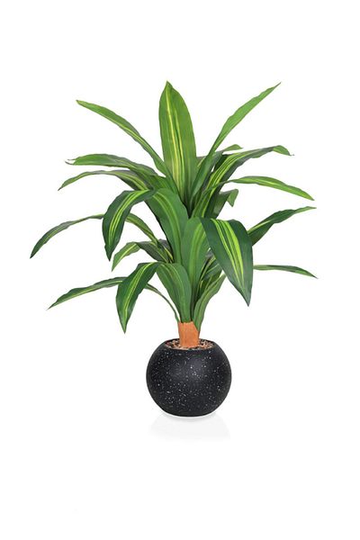 DRAMA HOME 70cm Artificial Corn Tree – A natural touch with lasting elegance