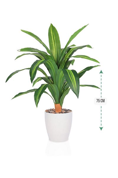 DRAMA HOME Artificial tree, simulating a soft corn tree with a natural texture, 75 cm high