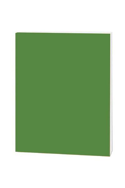 Roco Foam Board Green/White Core 100.00cm ( 3.28 ft ) X 70.00cm ( 2.30 ft )