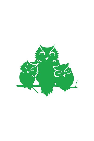 Reysa Tasarım Cute Owls Sticker 17X17 cm Green