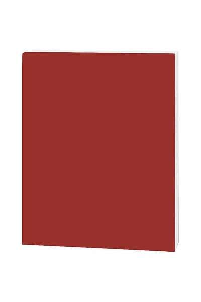 Roco Foam Board Tan/White Core 100.00cm ( 3.28 ft ) X 70.00cm ( 2.30 ft )