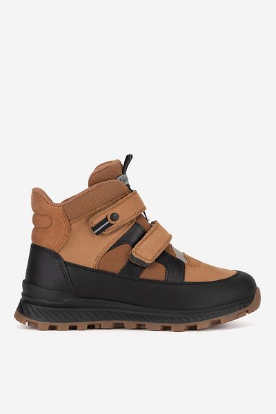 Lasocki Young boy shoe 5905588938538 Brown