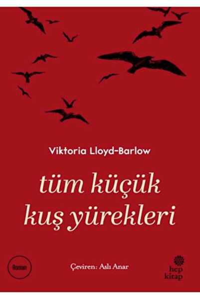 Hep Kitap Tüm Küçük Kuş Yürekleri
