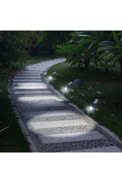 dalimag Lampa Solara, Proiector cu 4 Leduri, Pentru Gradina, 2 Moduri de Iluminare, 28 cm