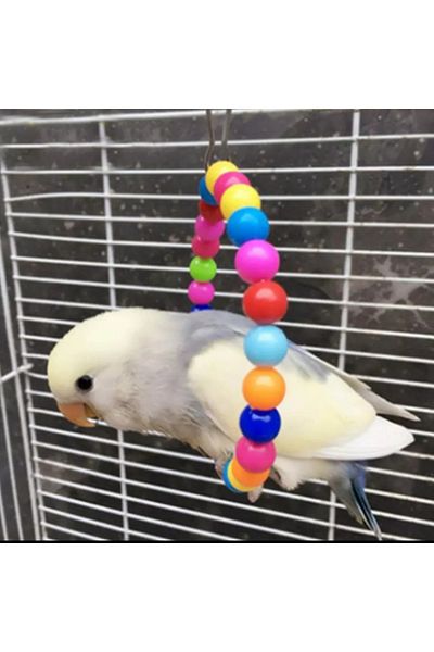 aliceshop Budgie Round Swing Perch