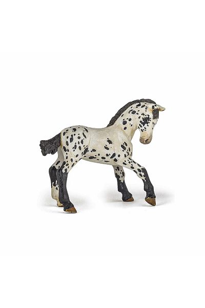 As PAPO BLACK APPALOOSA CALF FIGURINE