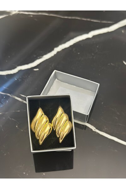 staınless steel Geometrik Burgu Çelik Küpe