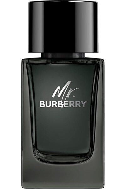 BURBERRY Mr. - perfume for men - Eau de Parfum, 100ml