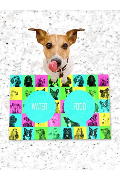 Patipeti طعام مربع للكلاب والقطط وقاعدة تدريب