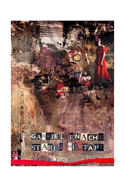 Editura Cetatea de Scaun Starea De Fapt, Gabriel Enache