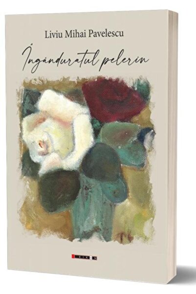 Editura Eikon Inganduratul Pelerin, Liviu Mihai Pavelescu