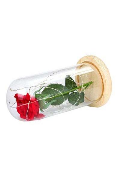 HALAMODO Luminous Led Rose Glass Multicolour